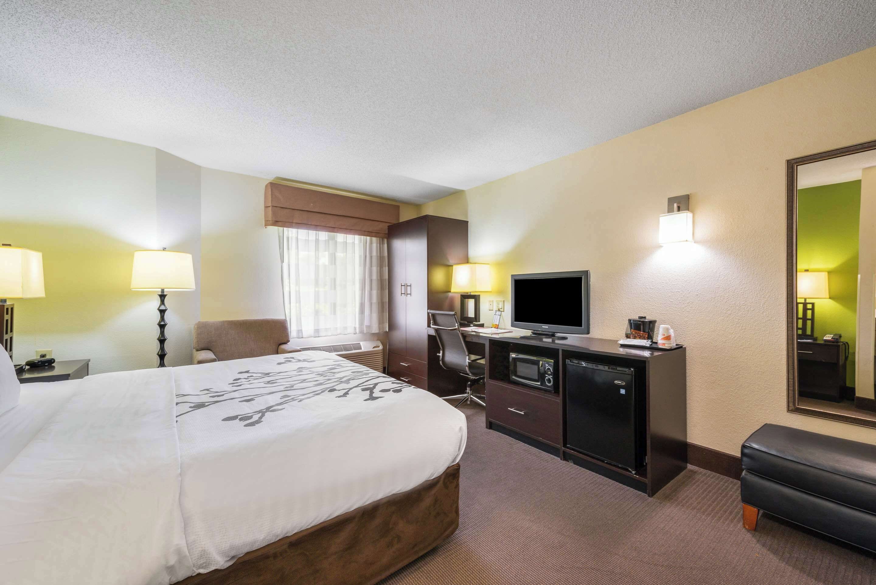 A hotel room with a large bed, a desk with a computer, a television, and a mirror.