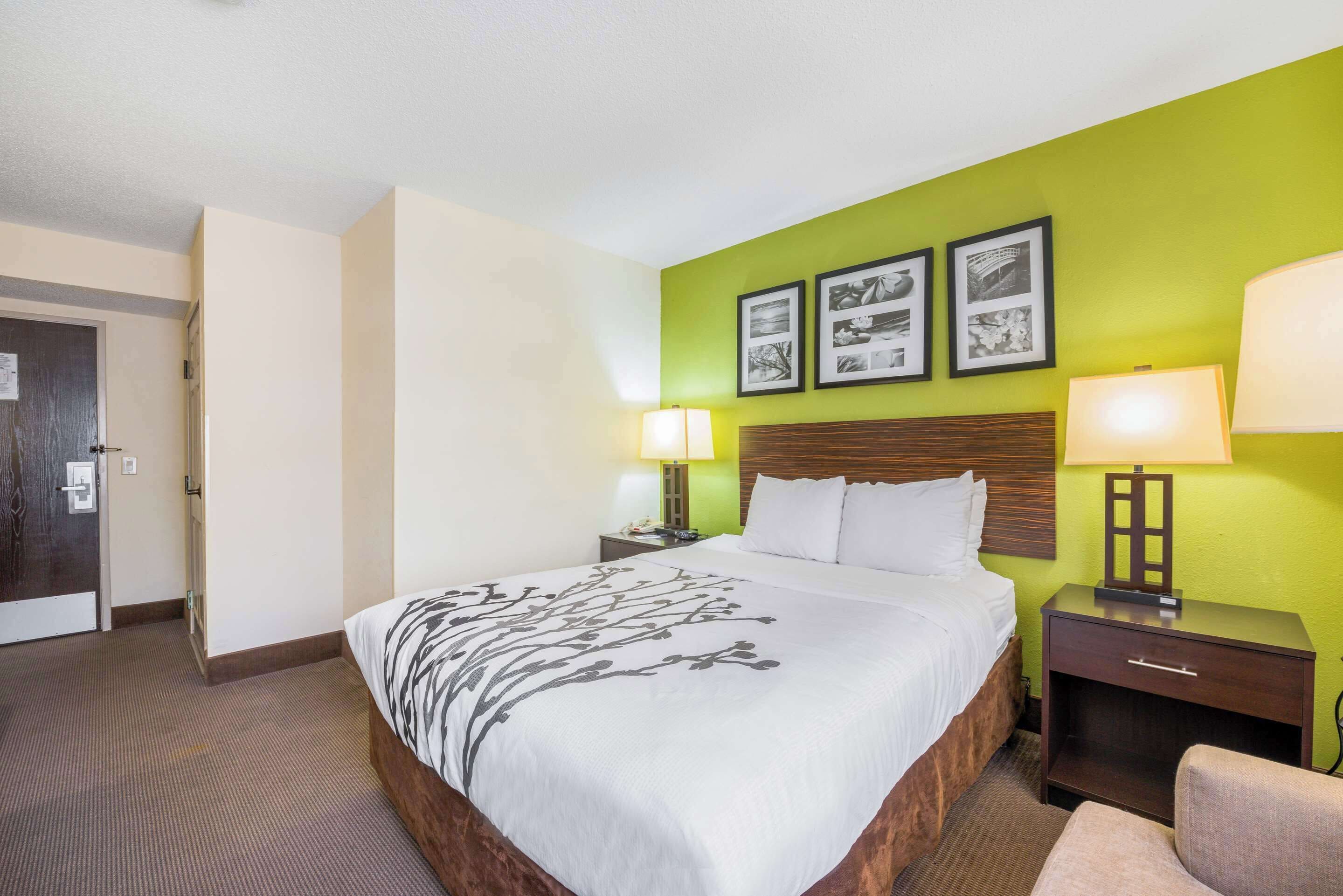 A hotel room with a large bed, two bedside tables with lamps, a wooden headboard, and green walls.