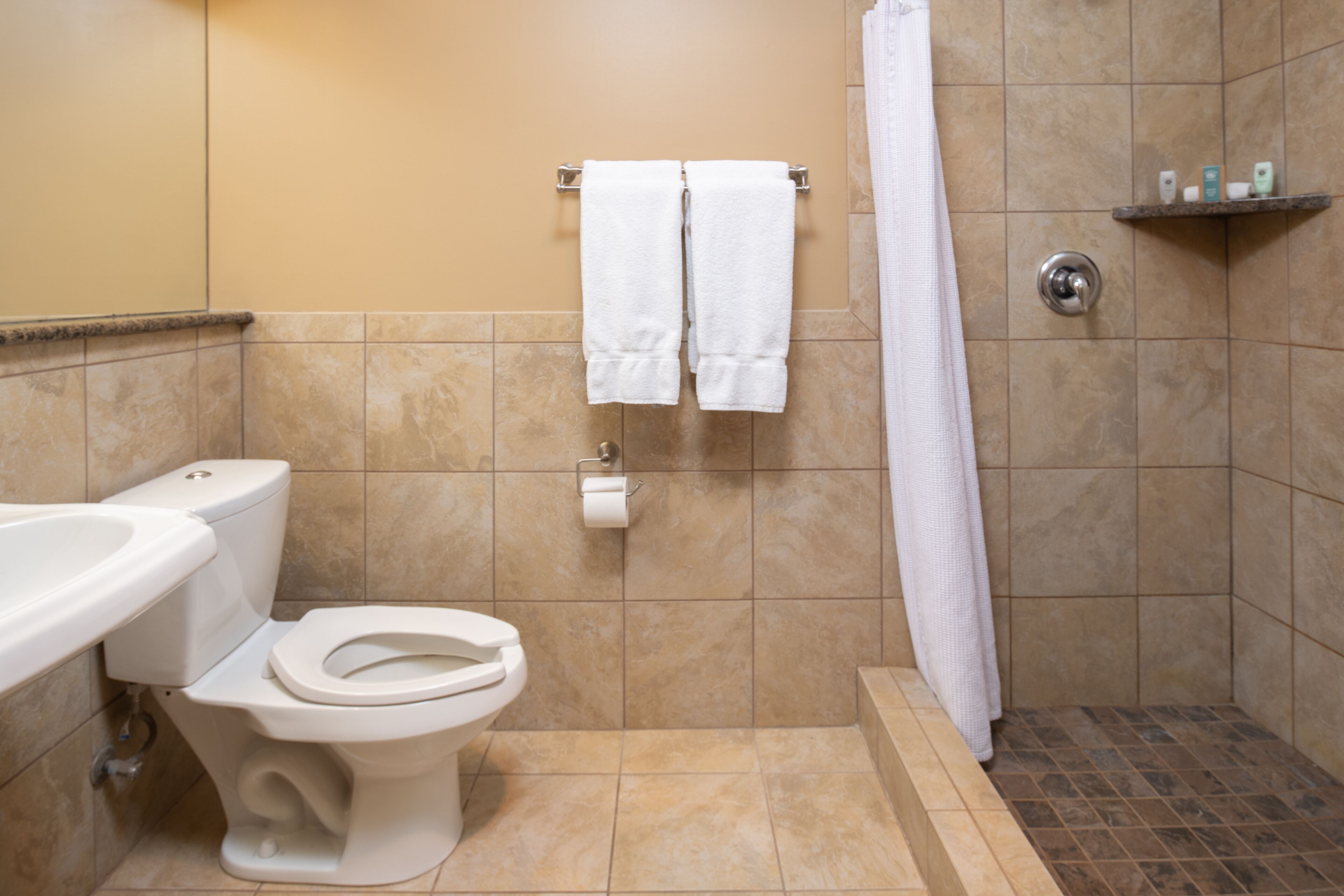 A bathroom with a toilet, a shower, and a towel rack with two towels.