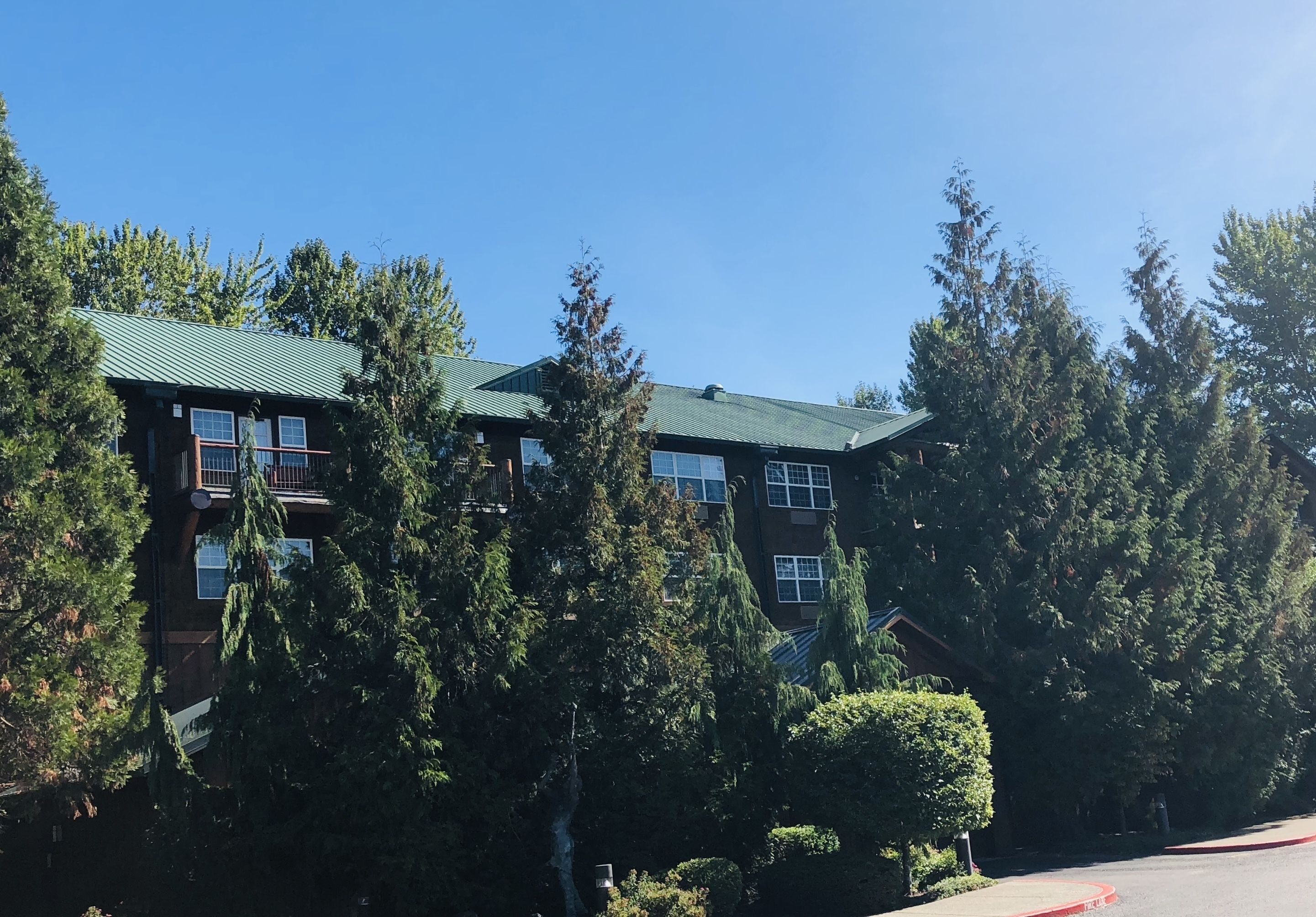 A multi-story building with a green roof, surrounded by dense trees.