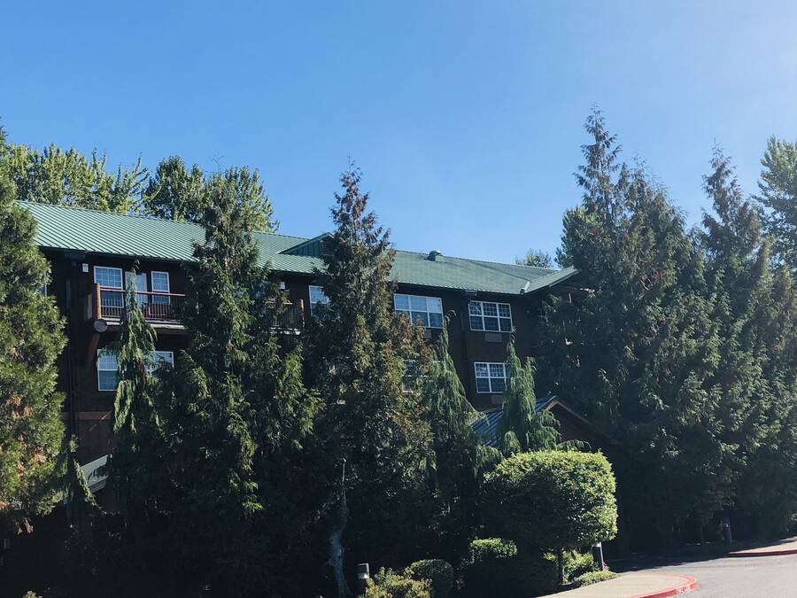 A multi-story building with a green roof, surrounded by dense trees.