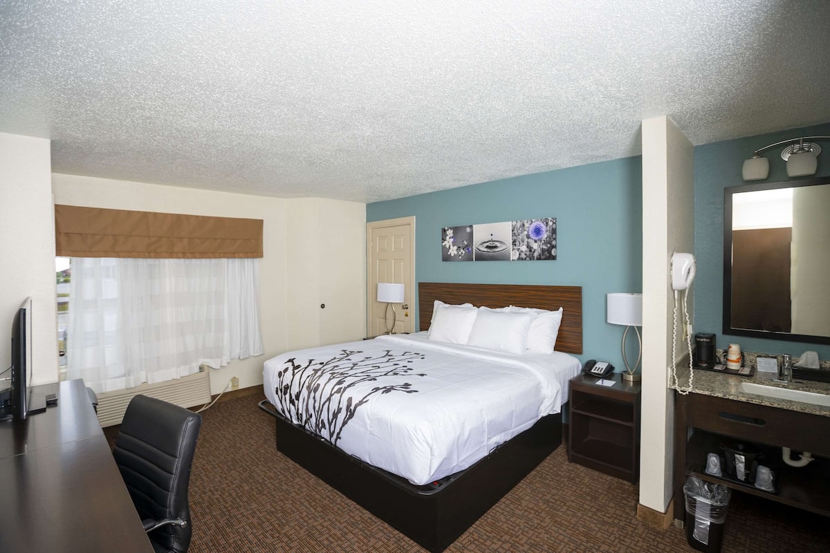 Standard Room, 1 King Bed, Non Smoking | Desk, blackout drapes, iron/ironing board, free cribs/infant beds
