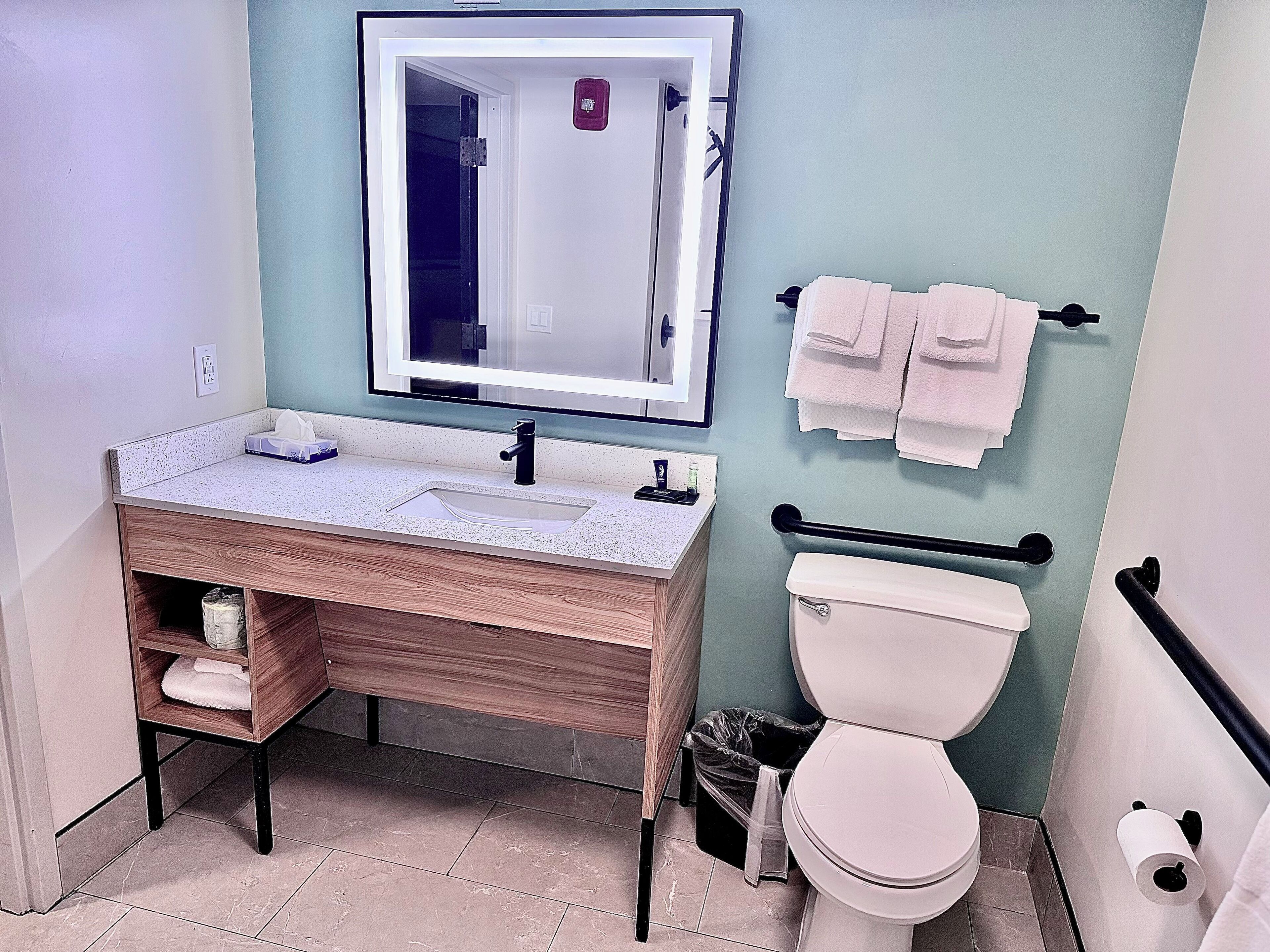 Room, 1 Queen Bed, Hearing Accessible, Non Smoking | Bathroom | Combined shower/tub, free toiletries, hair dryer, towels