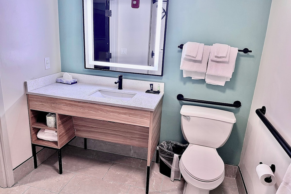 Room, 1 Queen Bed, Hearing Accessible, Non Smoking | Bathroom | Combined shower/tub, free toiletries, hair dryer, towels