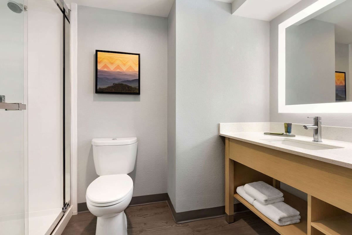 Une salle de bain avec des toilettes, un lavabo avec un miroir et un tableau encadré au mur.