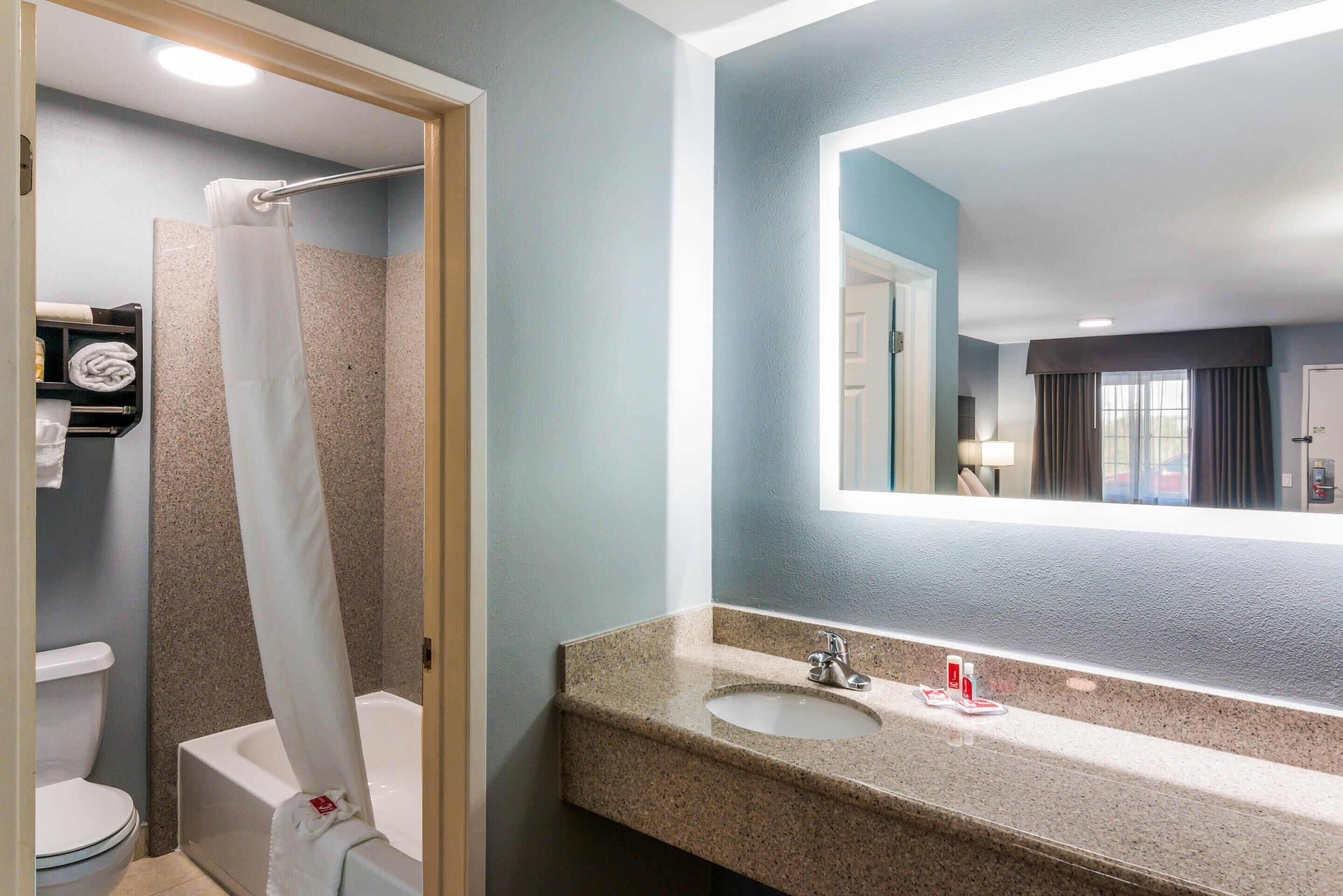 A bathroom with a shower, toilet, sink, and a mirror.