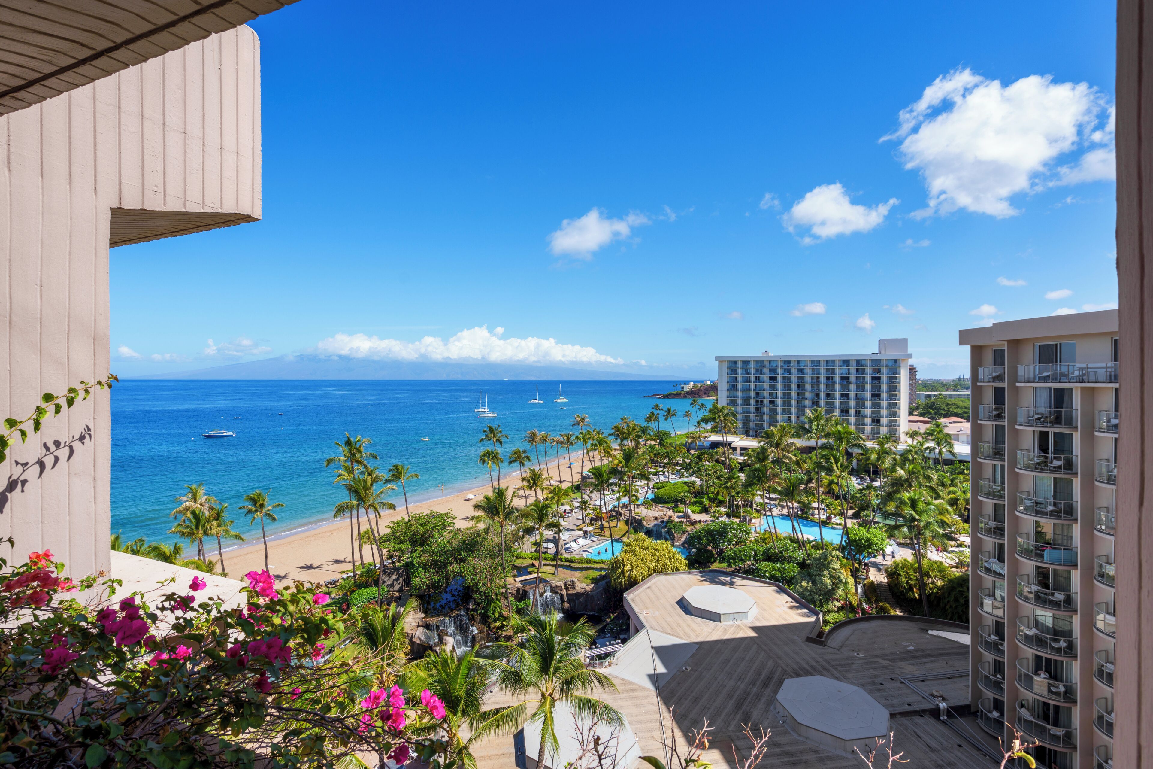 Condo, 1 Bedroom (1111) | Front of property