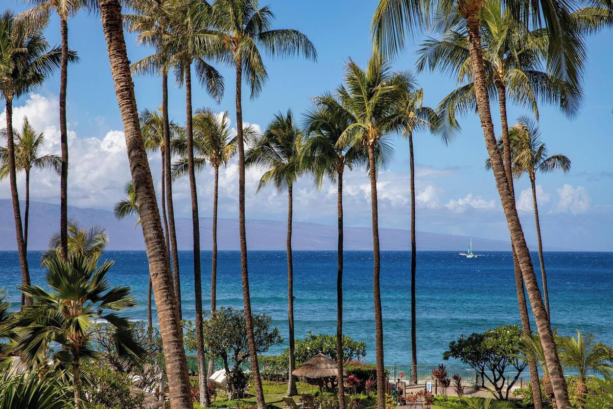 Condo, 2 quartos, vista para o oceano (231) | Fachada da propriedade