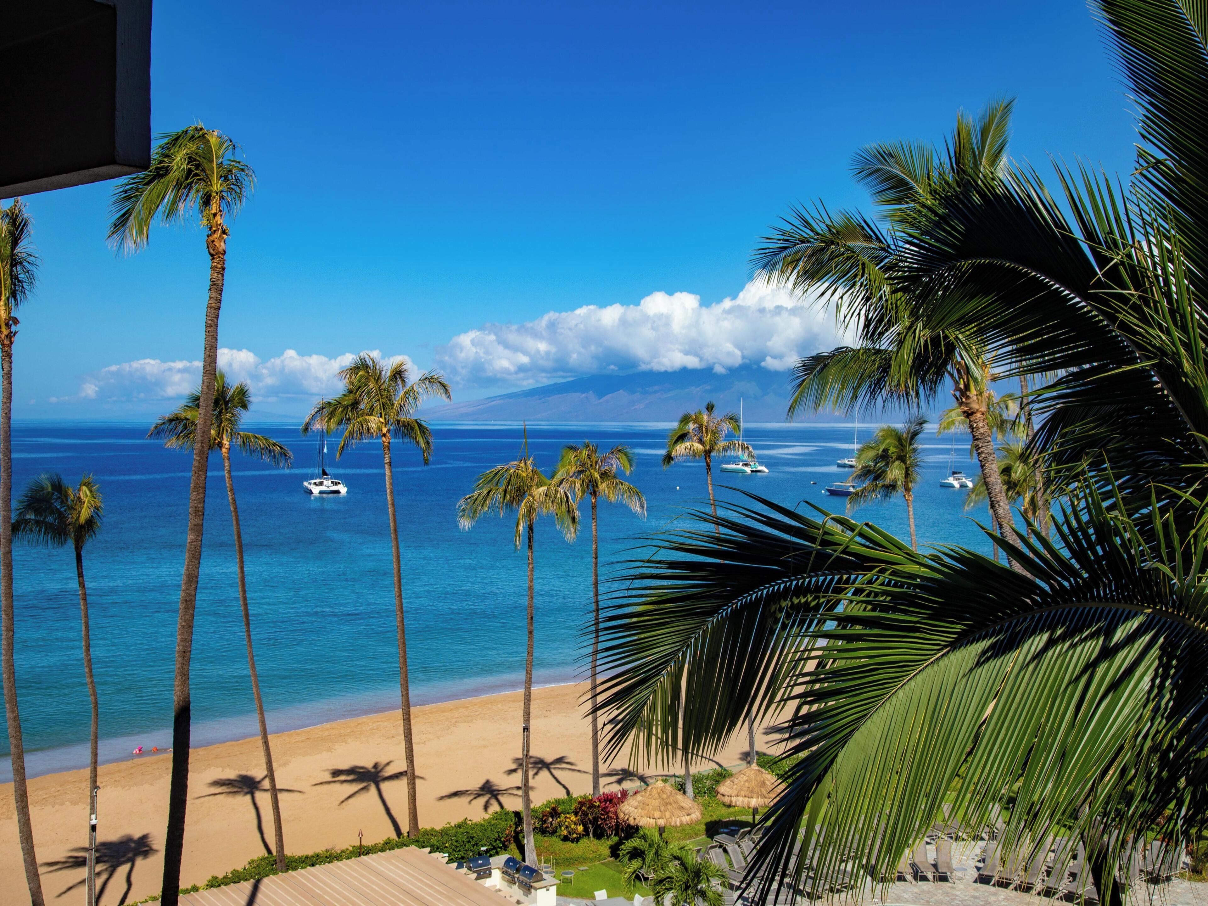 Condo, 2 Bedrooms, Ocean View (361) | Front of property