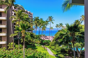 Condo, 2 Bedrooms, Ocean View (245) | Front of property