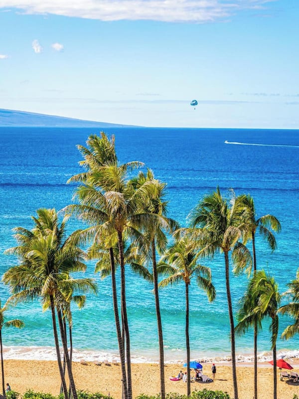 Condo, 2 Bedrooms, Ocean View (295) | Property amenity