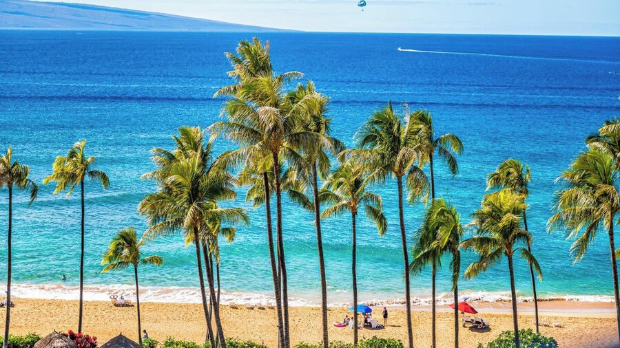 Kaanapali Alii