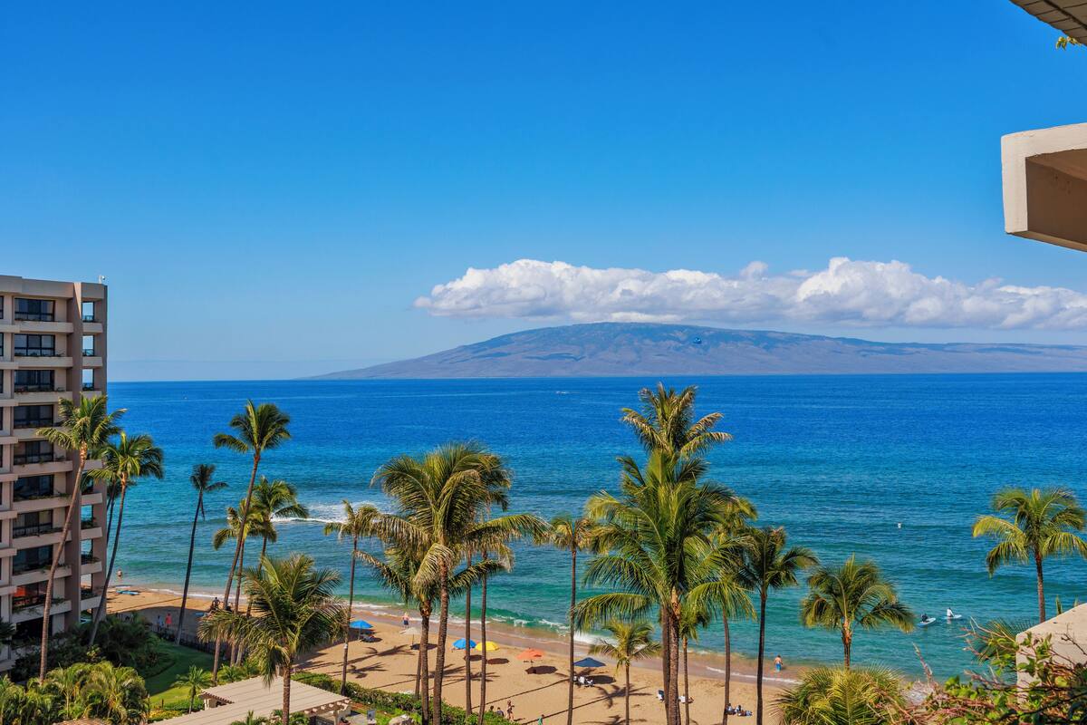 A beach view with palm trees, a clear sky, and a mountain in the distance.