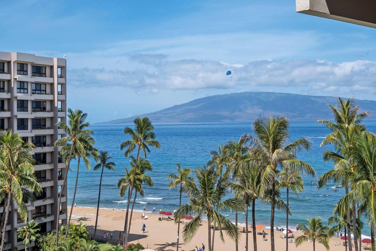 A beach with palm trees and a view of the ocean.