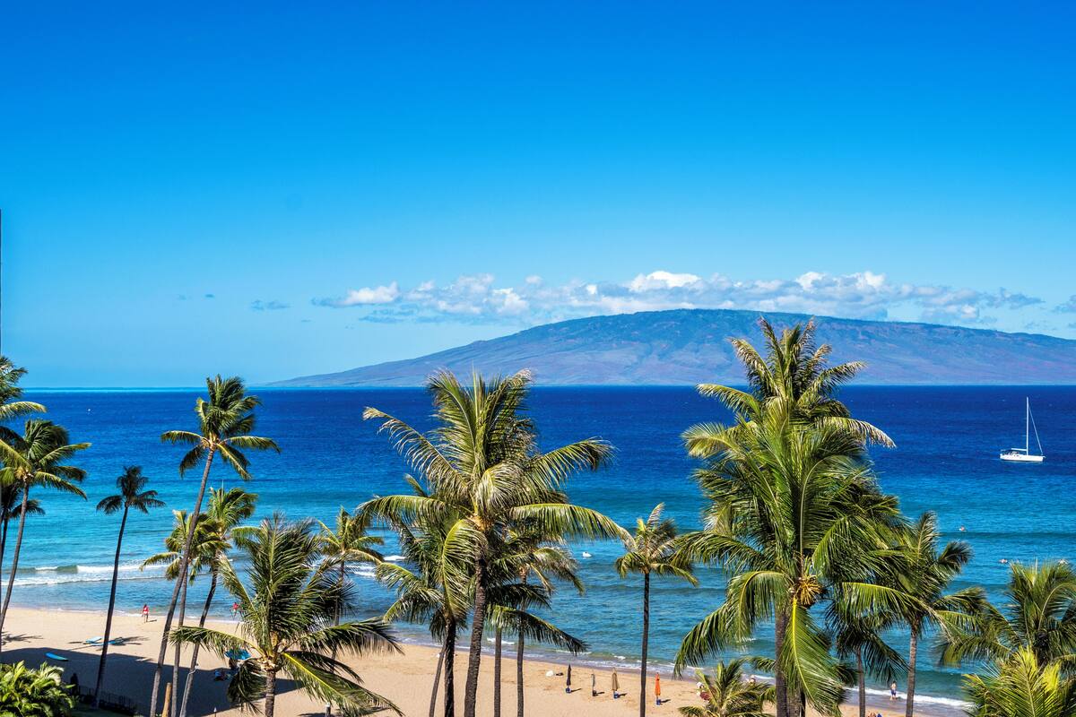 A beach with palm trees and a sailboat in the distance.