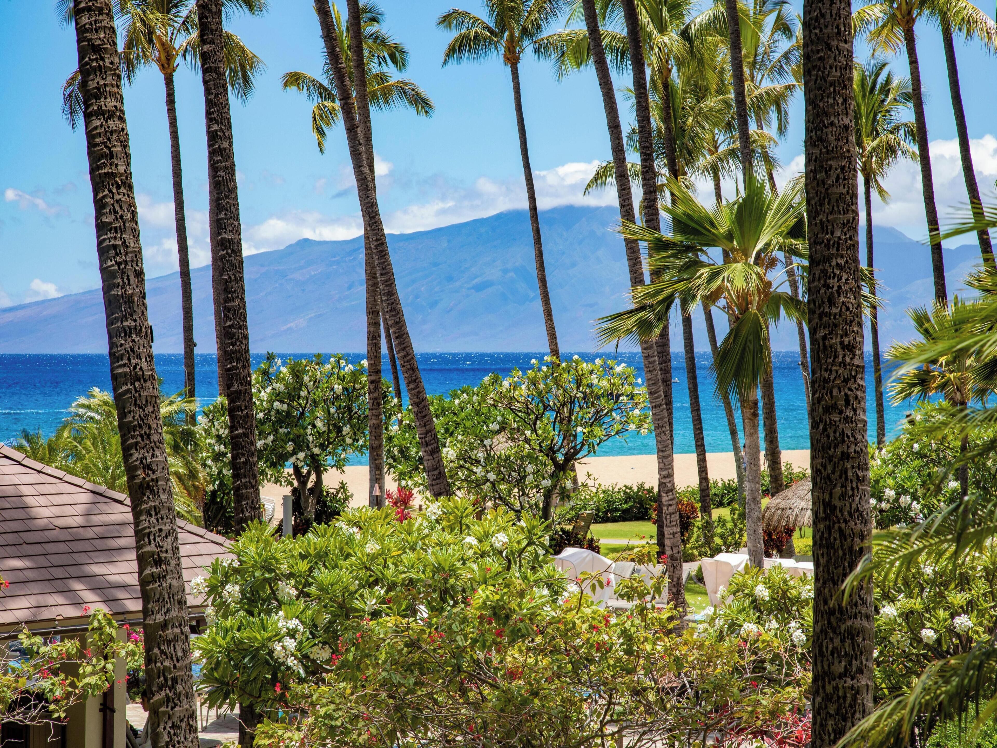 Condo, 2 Bedrooms, Ocean View (424) | Front of property