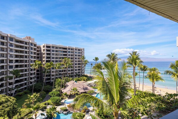 A resort with a pool, palm trees, and a beach view.