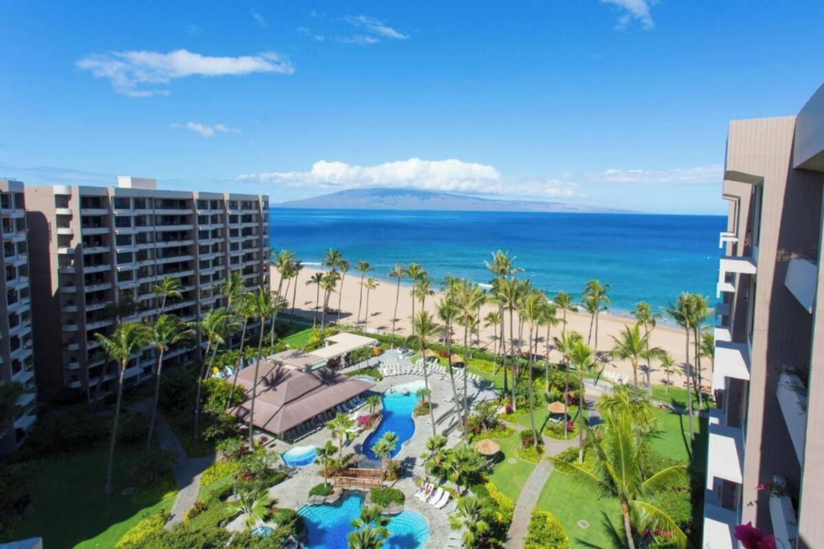 A resort with a pool, palm trees, and a view of the ocean.