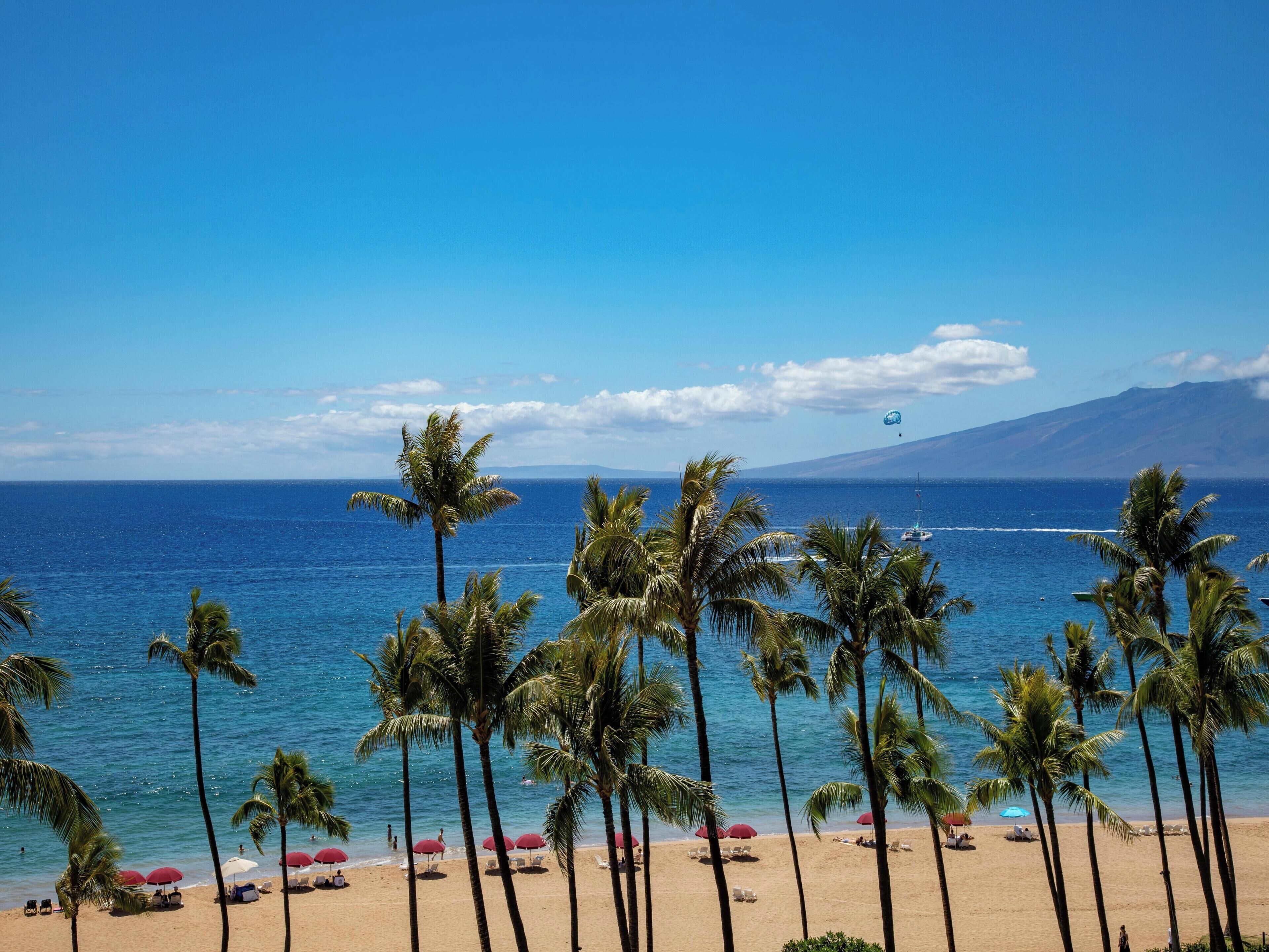 Condo, 2 Bedrooms, Ocean View (486) | Front of property