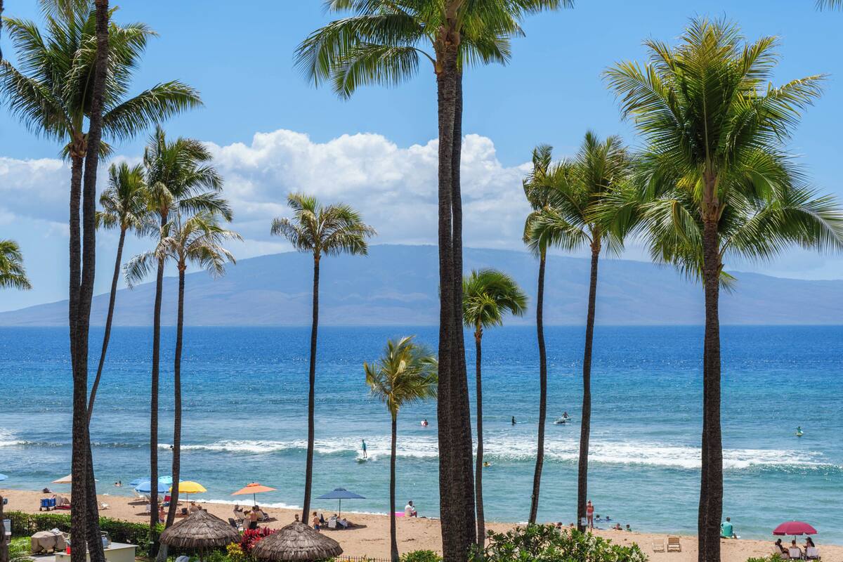 A beach with palm trees, umbrellas, and people.
