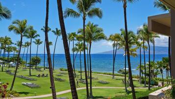 Condo (3 Bedrooms) | Property amenity