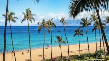 Condo, 2 Bedrooms, Ocean View (351) | Front of property