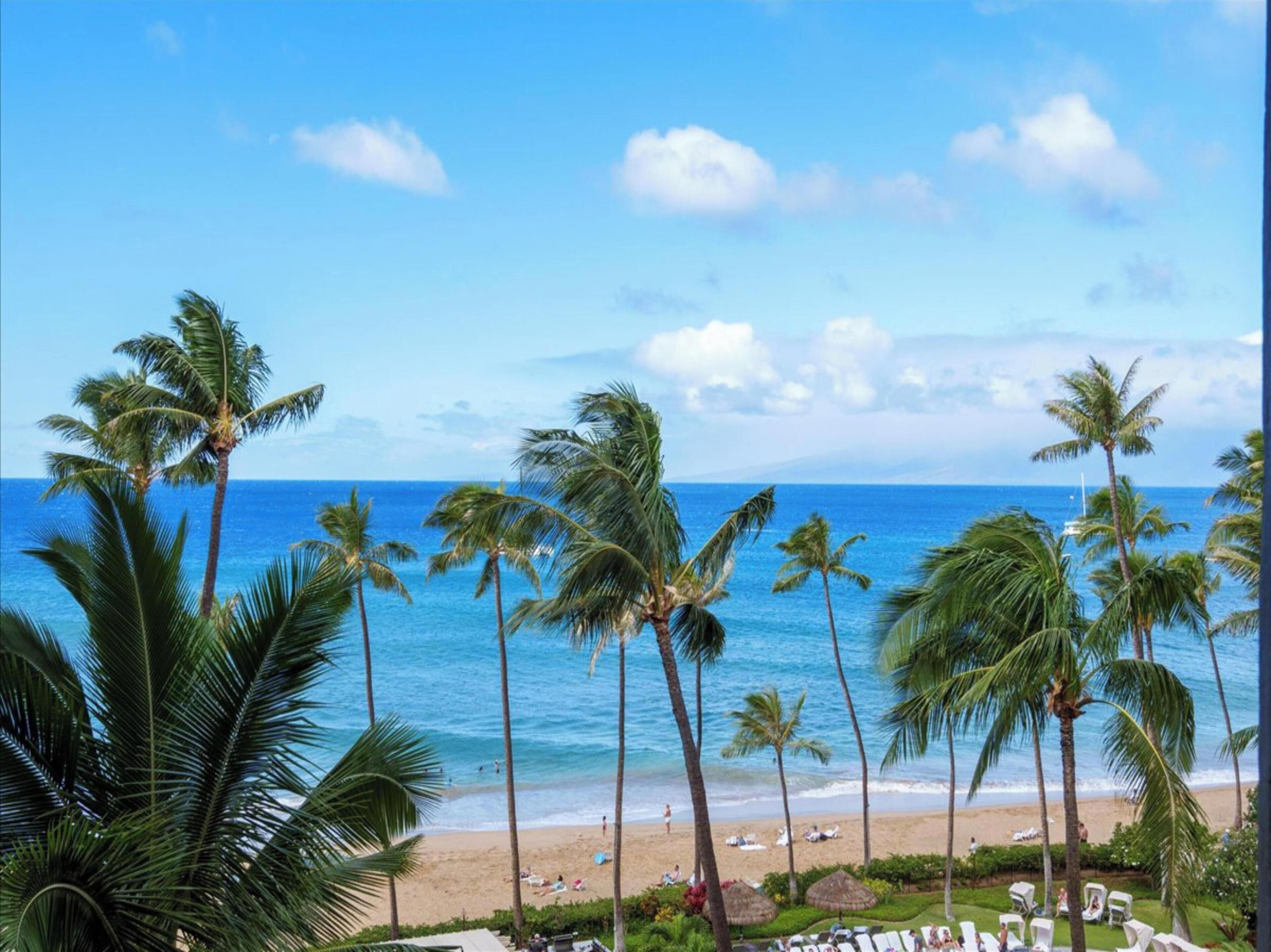 Condo, 1 Bedroom (472) | Front of property