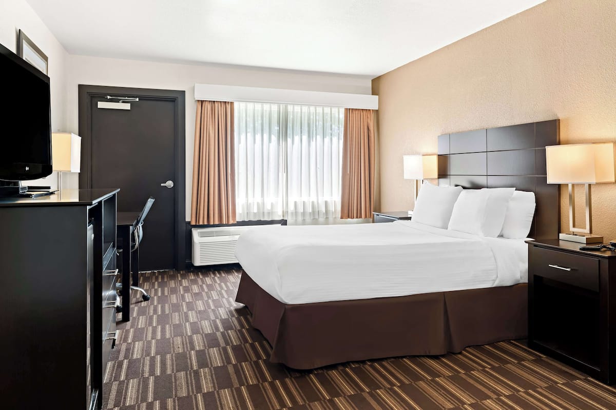 Standard Room, 1 Queen Bed, Non Smoking, Refrigerator & Microwave | 1 bedroom, premium bedding, desk, iron/ironing board