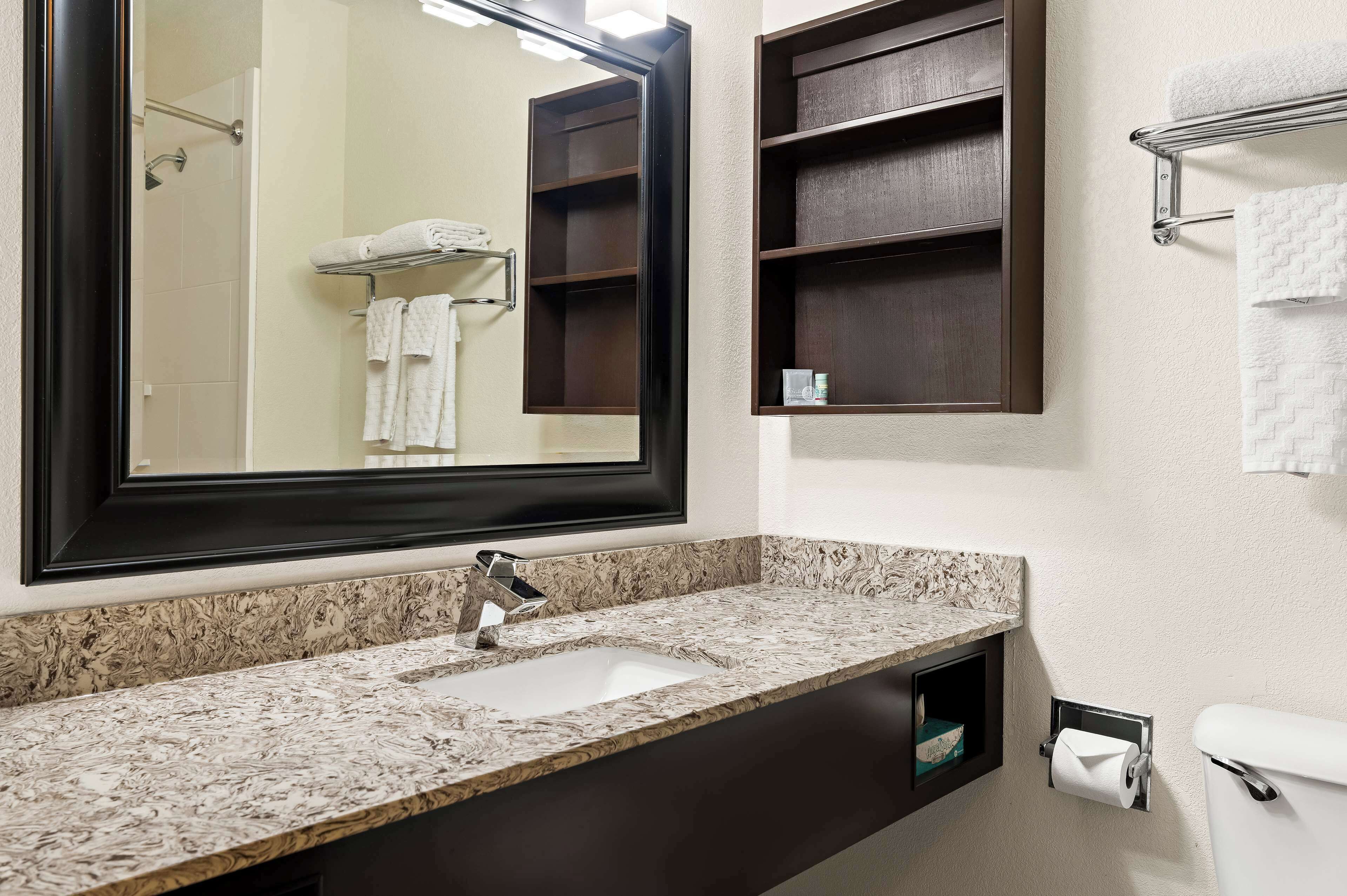 A bathroom with a marble sink, a large mirror, a towel rack, and a toilet paper holder.