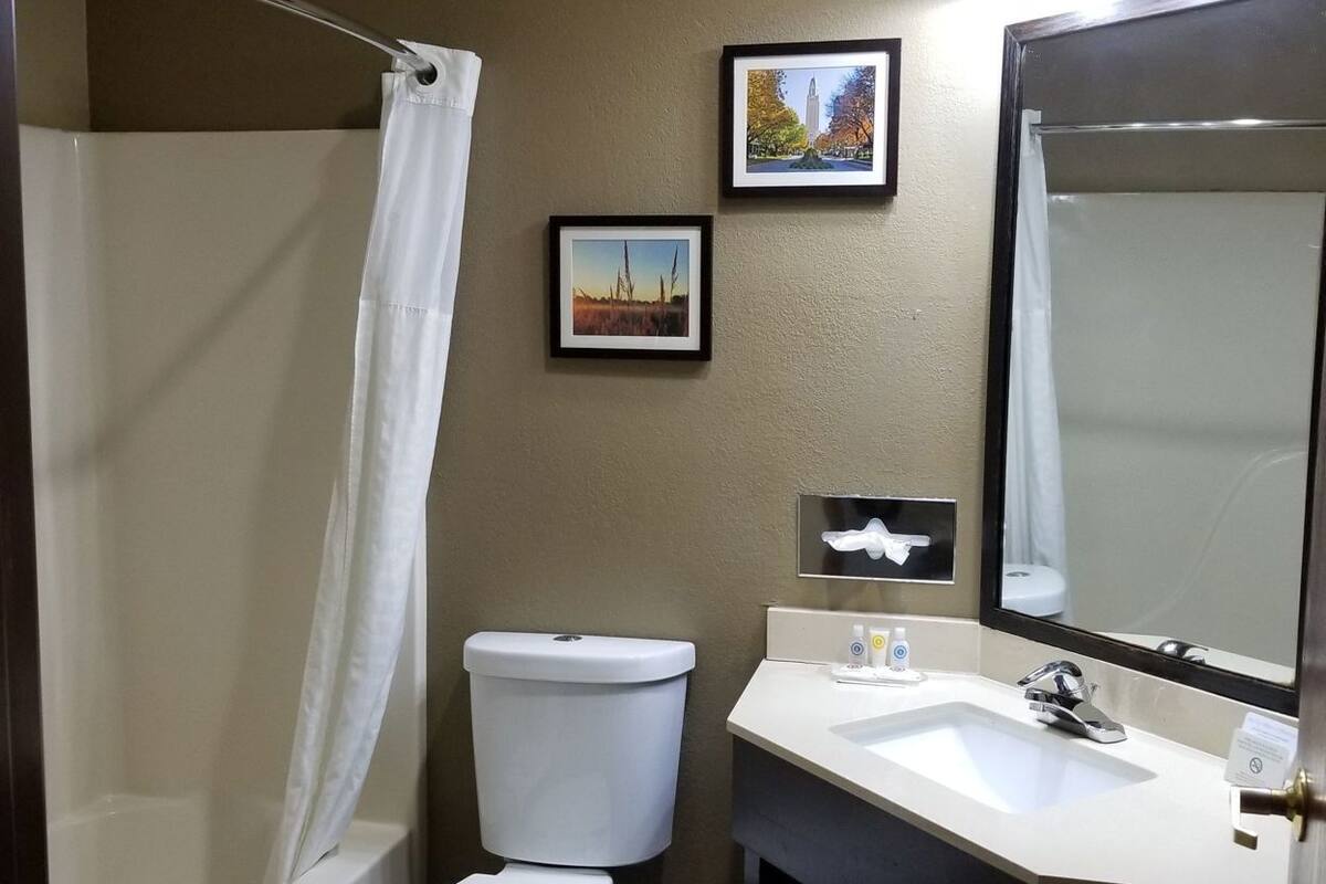 Un bagno con WC, lavandino e tenda della doccia. Alle pareti sono presenti quadri incorniciati.