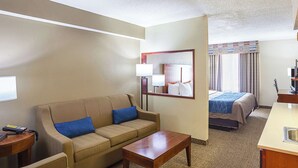 Suite, 1 très grand lit et 1 canapé-lit, non-fumeurs | Bureau, rideaux occultants, fer et planche à repasser, Wi-Fi gratuit