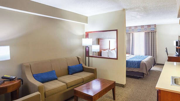Suite, 1 King Bed with Sofa bed, Non Smoking | Desk, blackout drapes, iron/ironing board, WiFi (free)