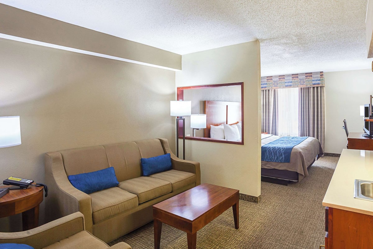 Suite, 1 King Bed with Sofa bed, Non Smoking