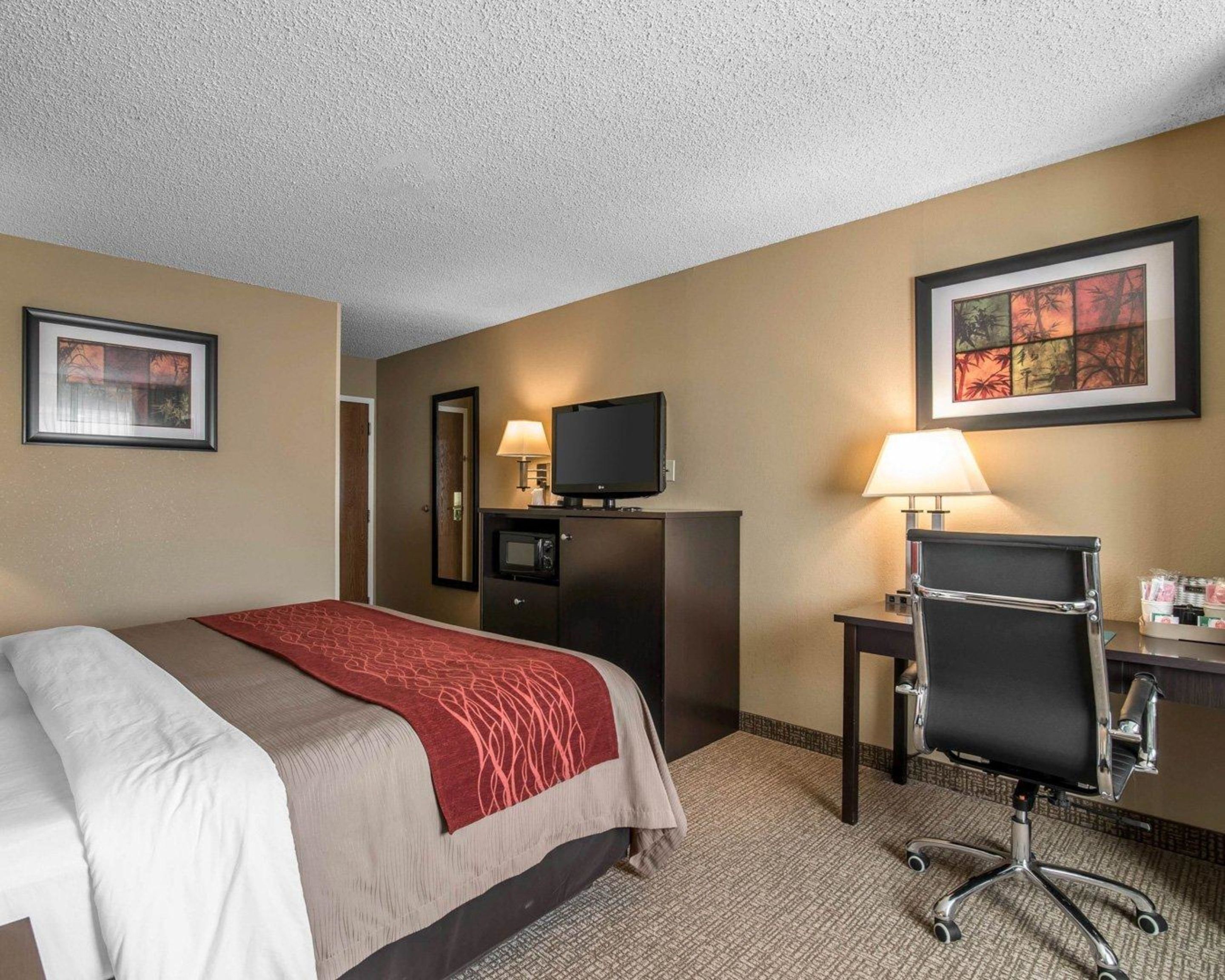 A hotel room with a bed, a desk, a chair, a TV, and a lamp.