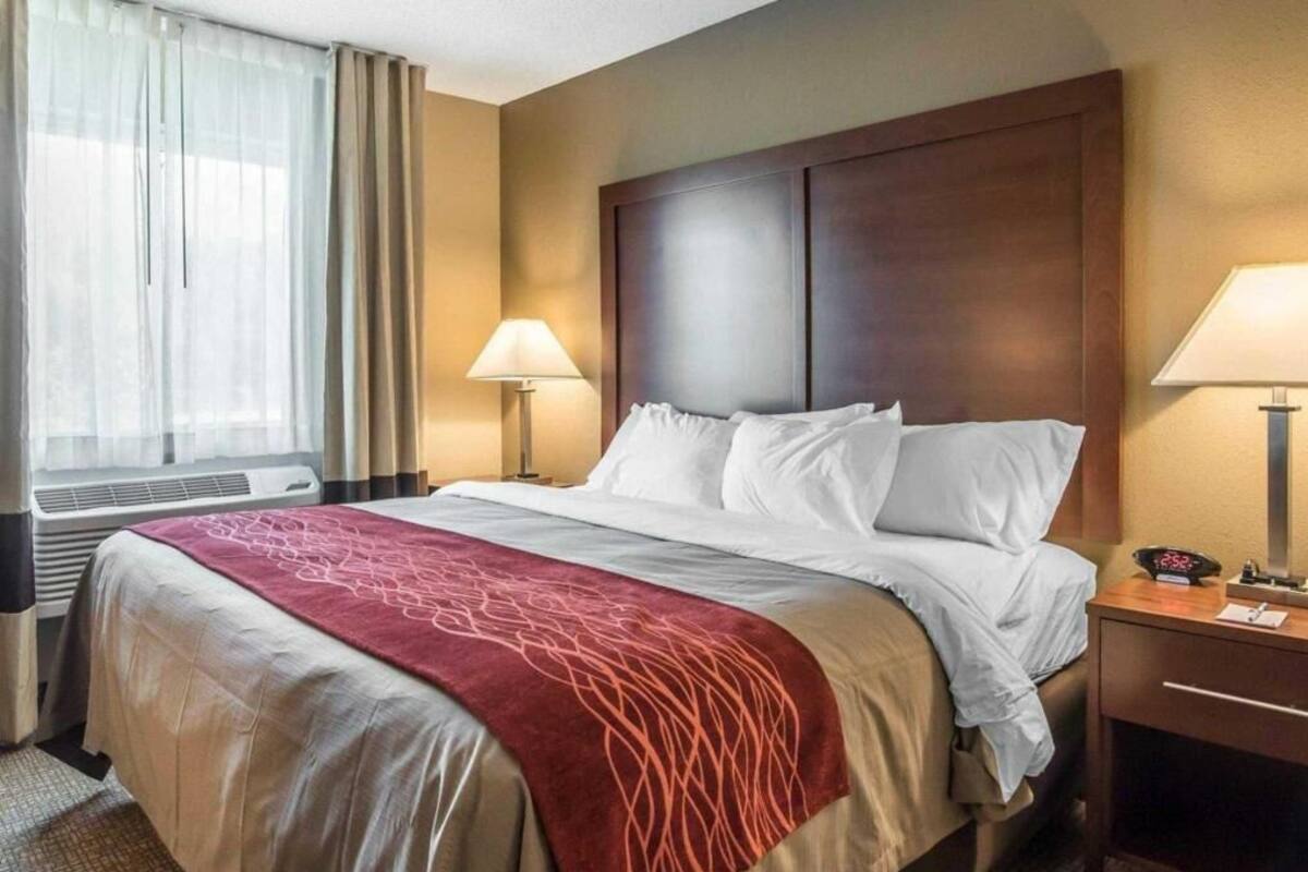 A hotel room with a bed, two bedside lamps, a nightstand, and a window with curtains.