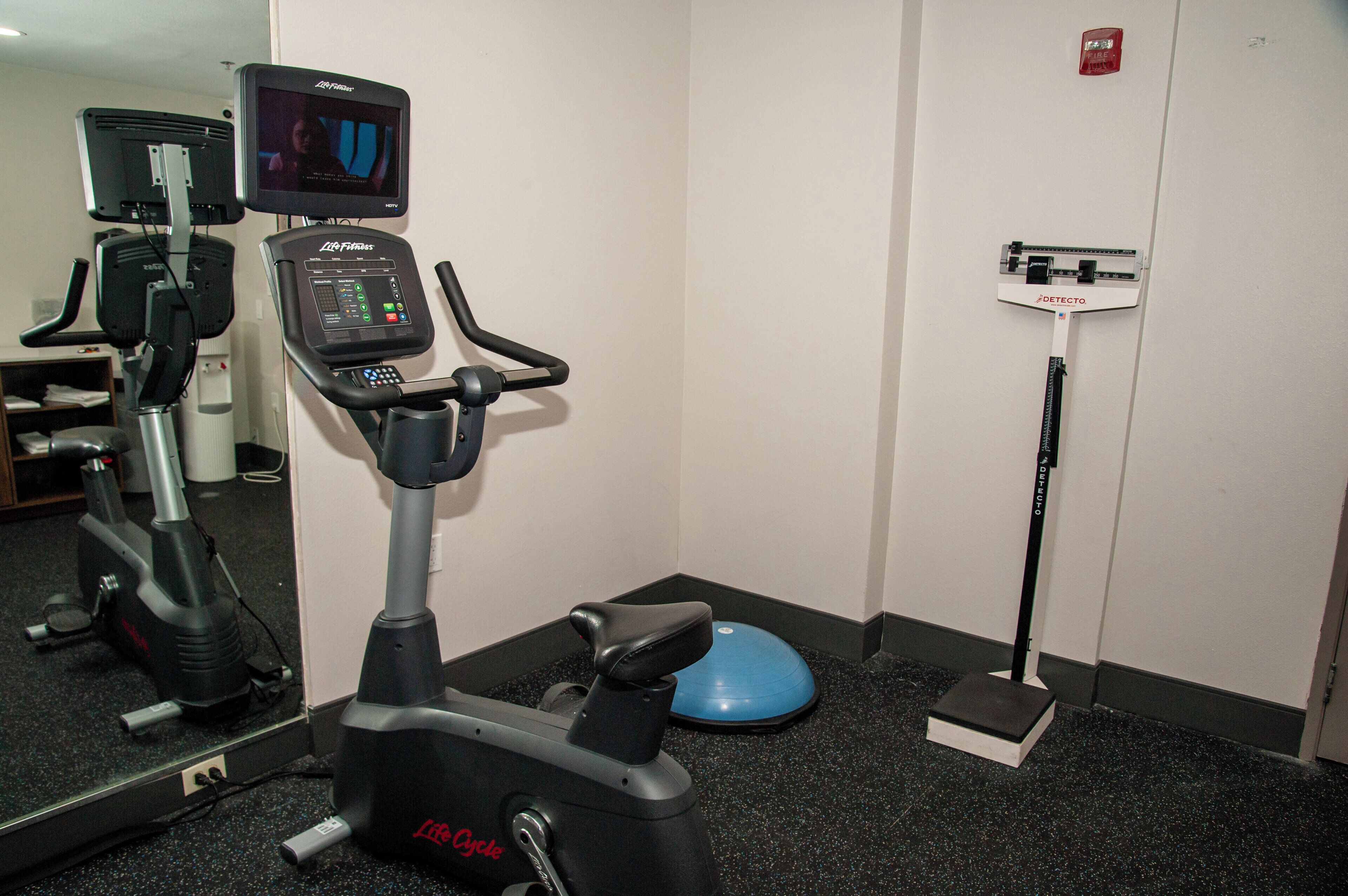 A gym with an exercise bike, a treadmill, and a mirror.