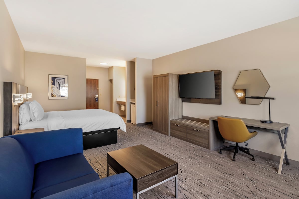 标准房, 1 张特大床和 1 张沙发床 | 客房服务设施