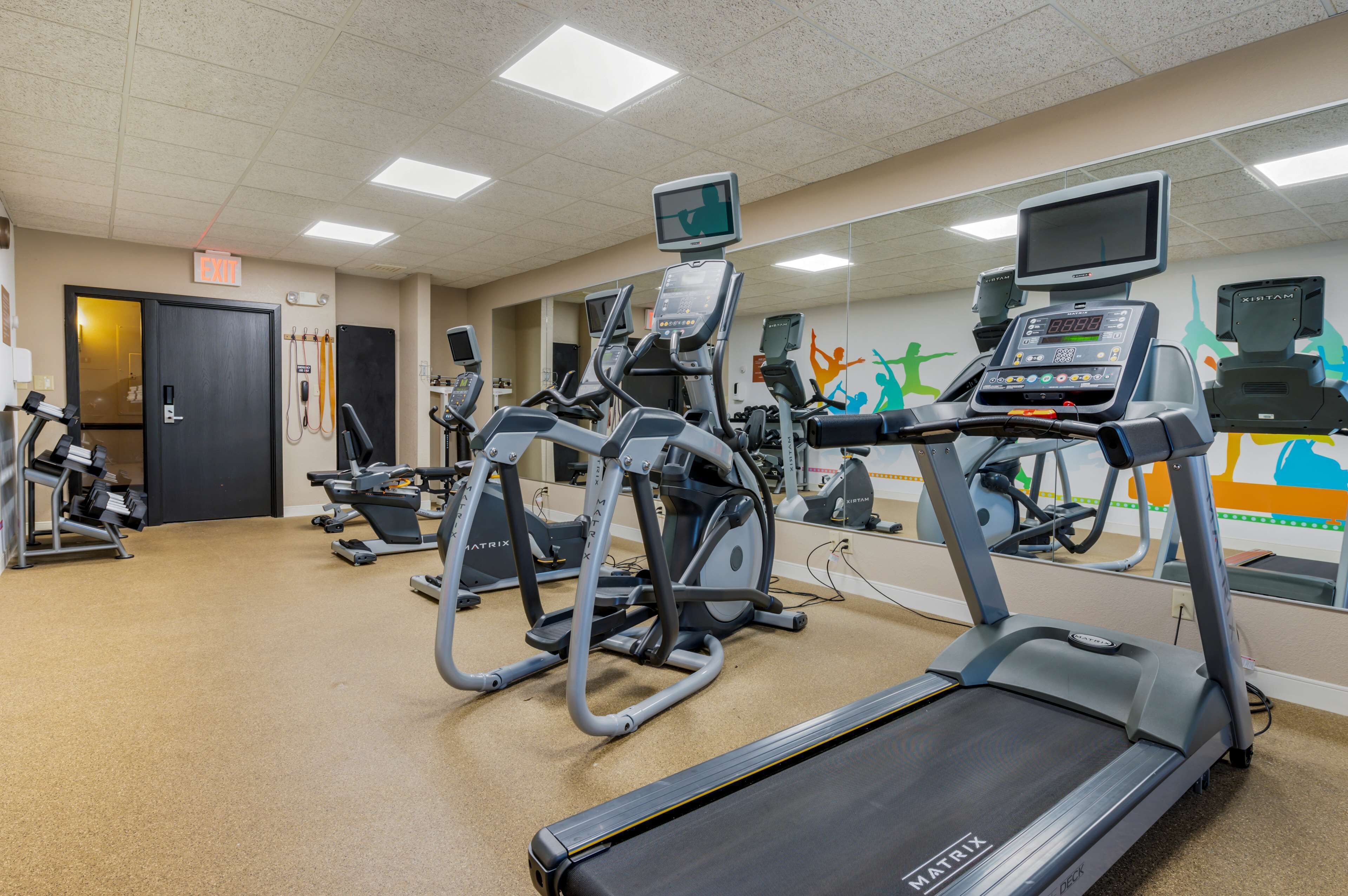 Une salle de sport équipée de tapis de course, d’appareils elliptiques et de vélos d’exercice.