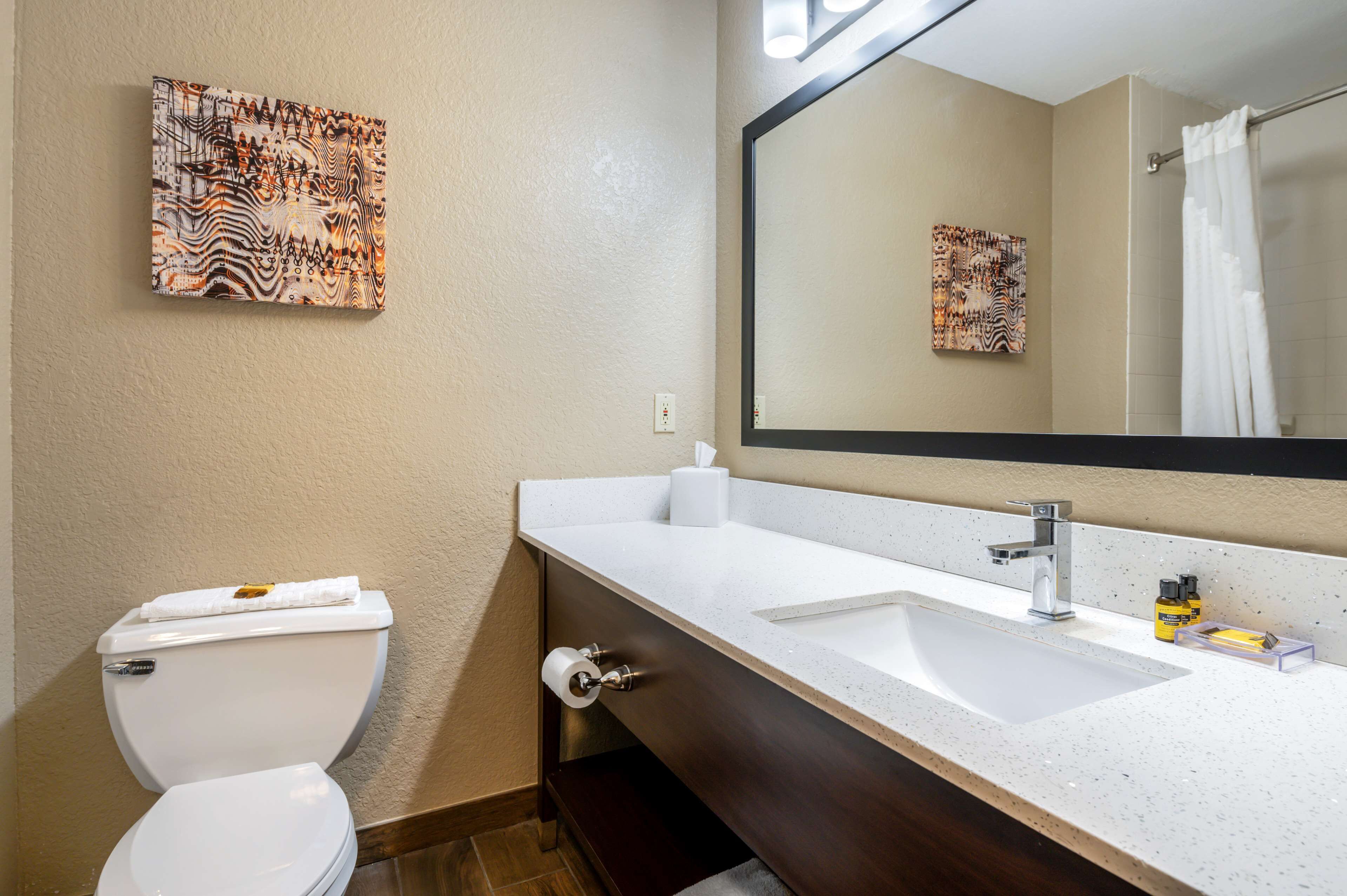 A bathroom with a toilet, a sink, a mirror, and two wall-mounted artworks.