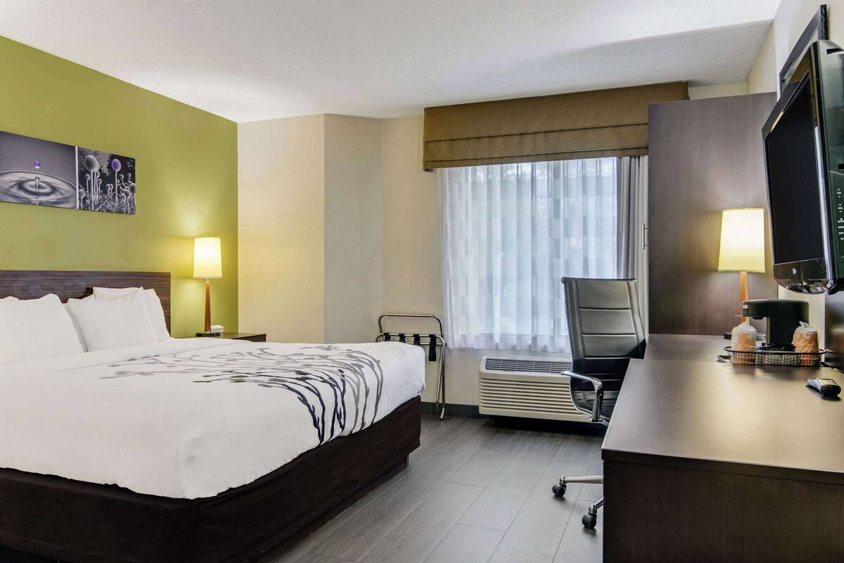 A hotel room with a bed, a desk, a chair, a TV, and a window with curtains.