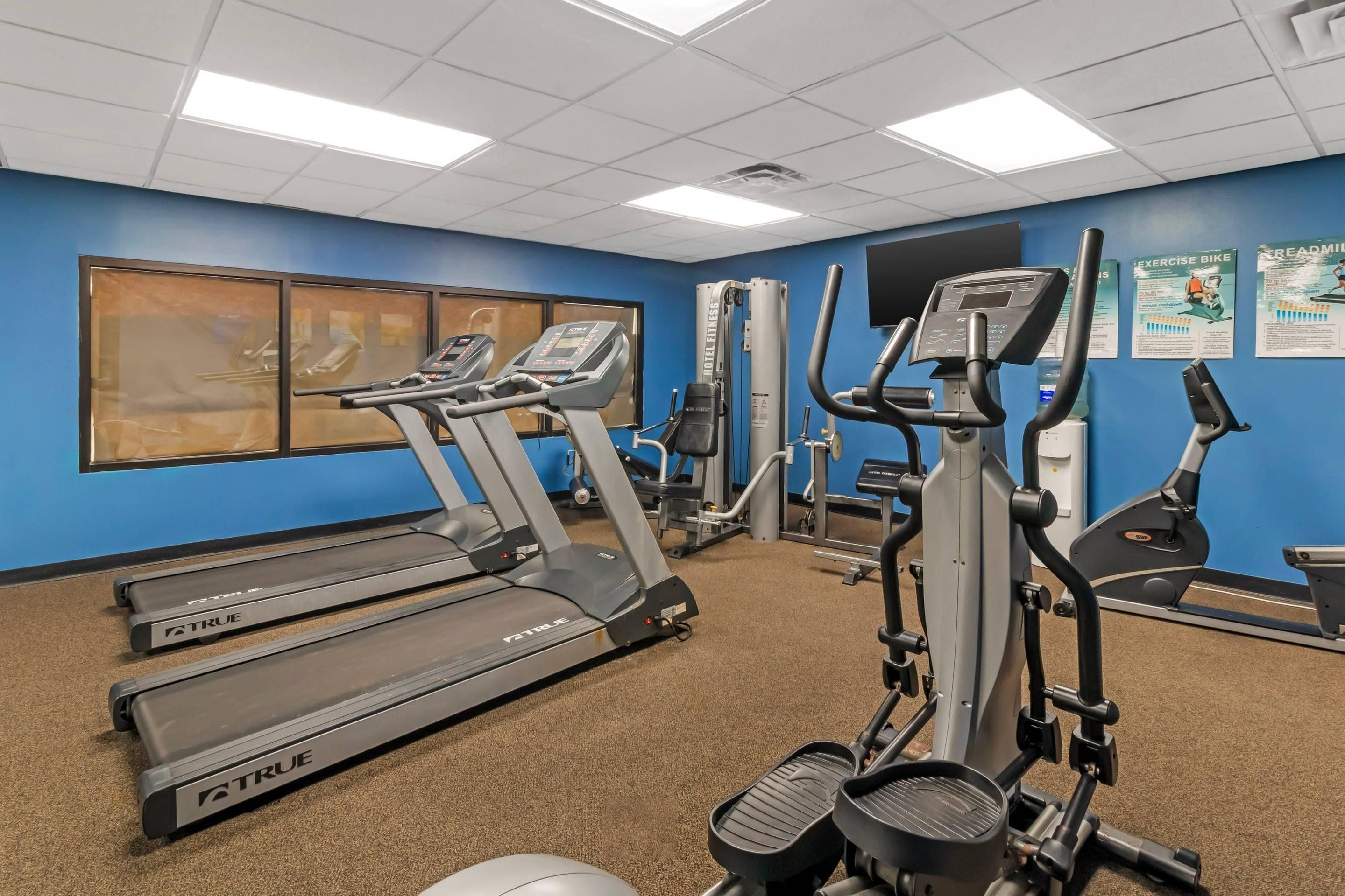 A gym with treadmills, elliptical machines, and exercise bikes.