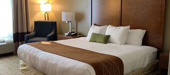 Comfort Inn Franklin Highway 96