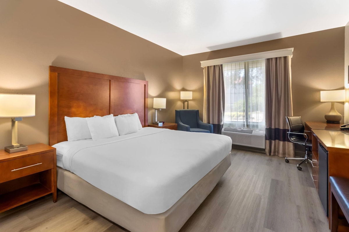 Habitación estándar, 1 cama de matrimonio grande, no fumadores | Caja fuerte, escritorio, sistema de insonorización