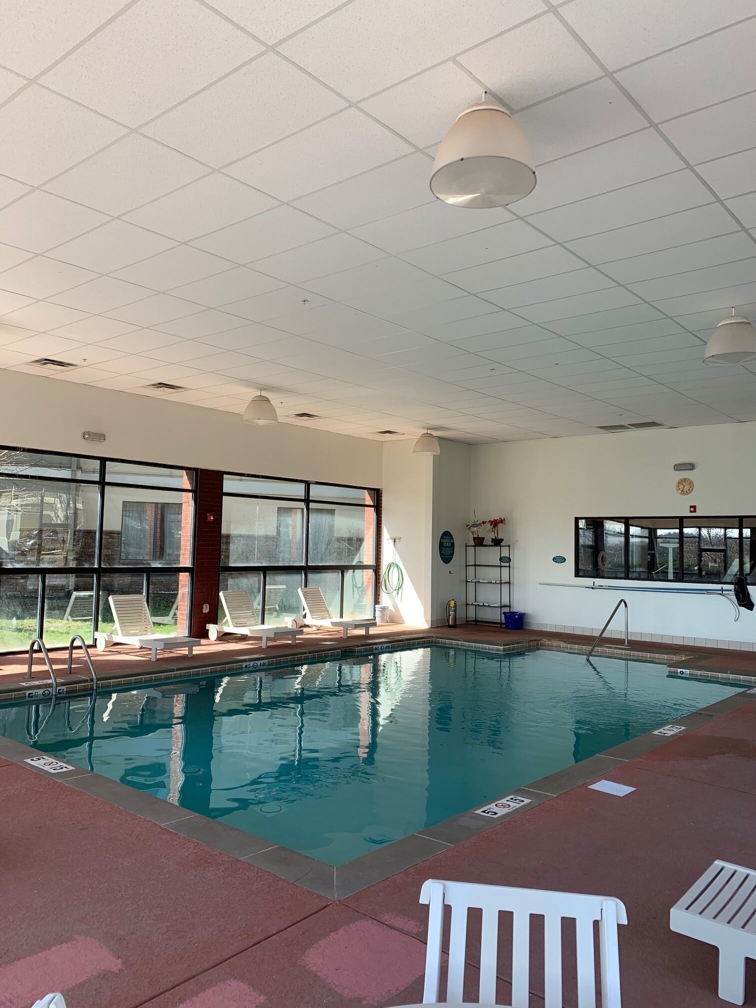 Top 10 PetFriendly Hotels In Franklin, Tennessee Trip101