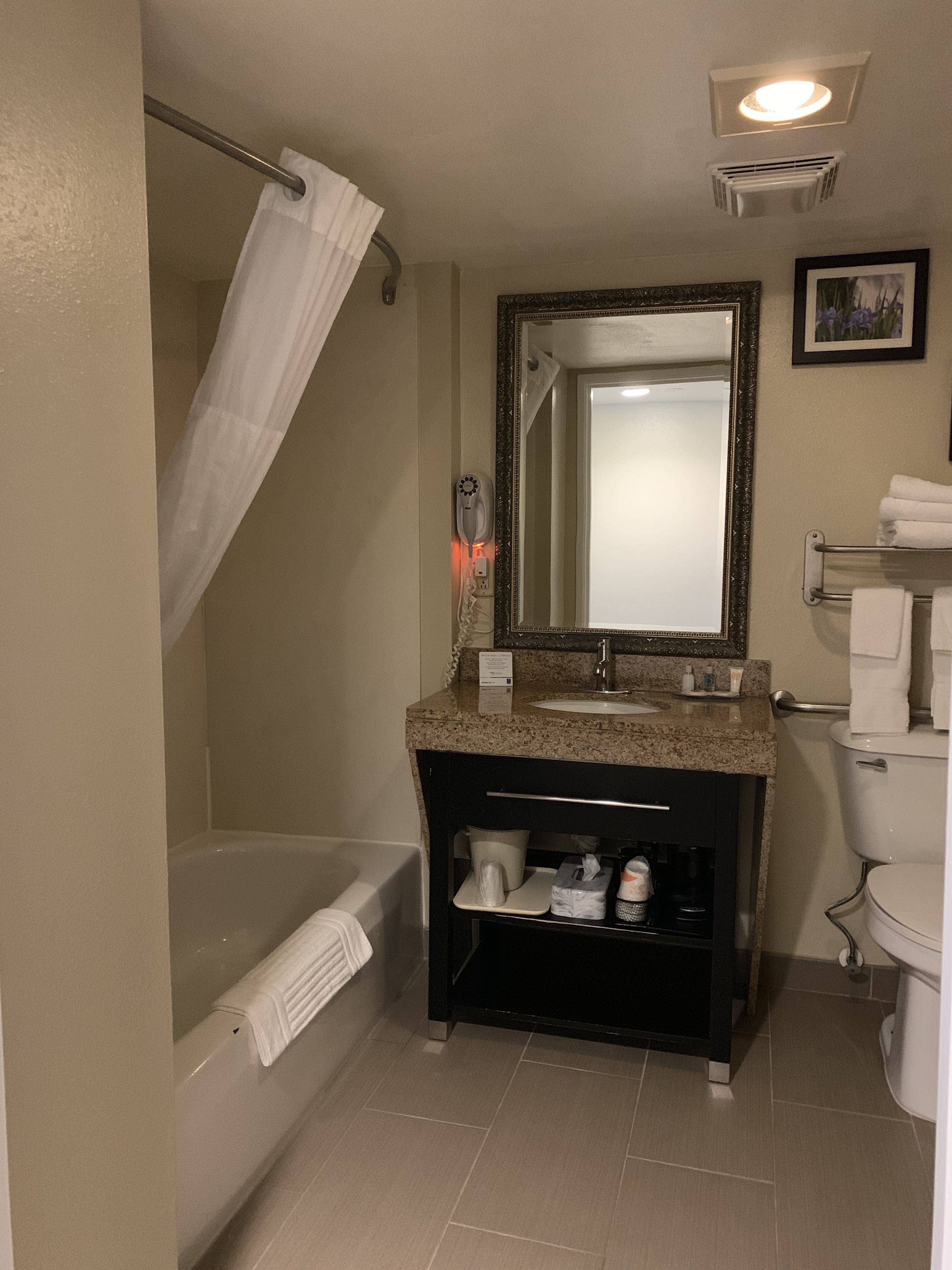 A bathroom with a bathtub, a sink with a mirror, a toilet, and a shower curtain.