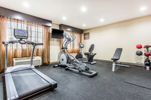 Un gimnasio con cintas de correr, elíptica, bicicleta estática, banco y un juego de mancuernas.