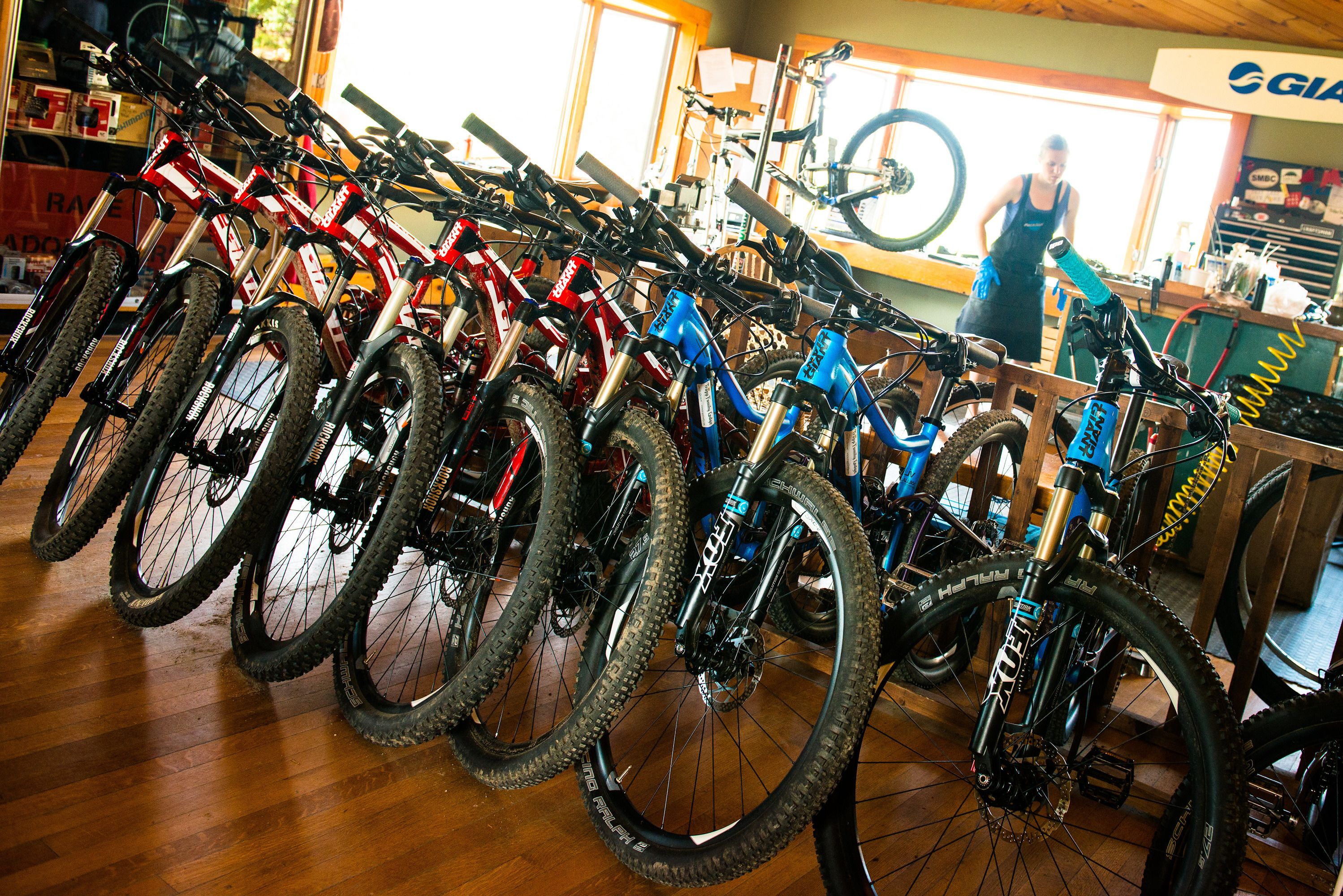 A row of bicycles with various colors and sizes, indicating a bike shop or rental service.