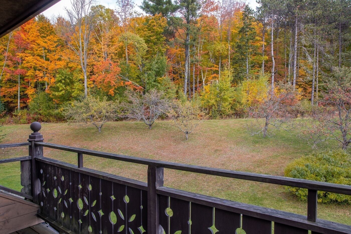 A wooden deck with a railing overlooking a grassy yard with trees displaying autumn foliage.