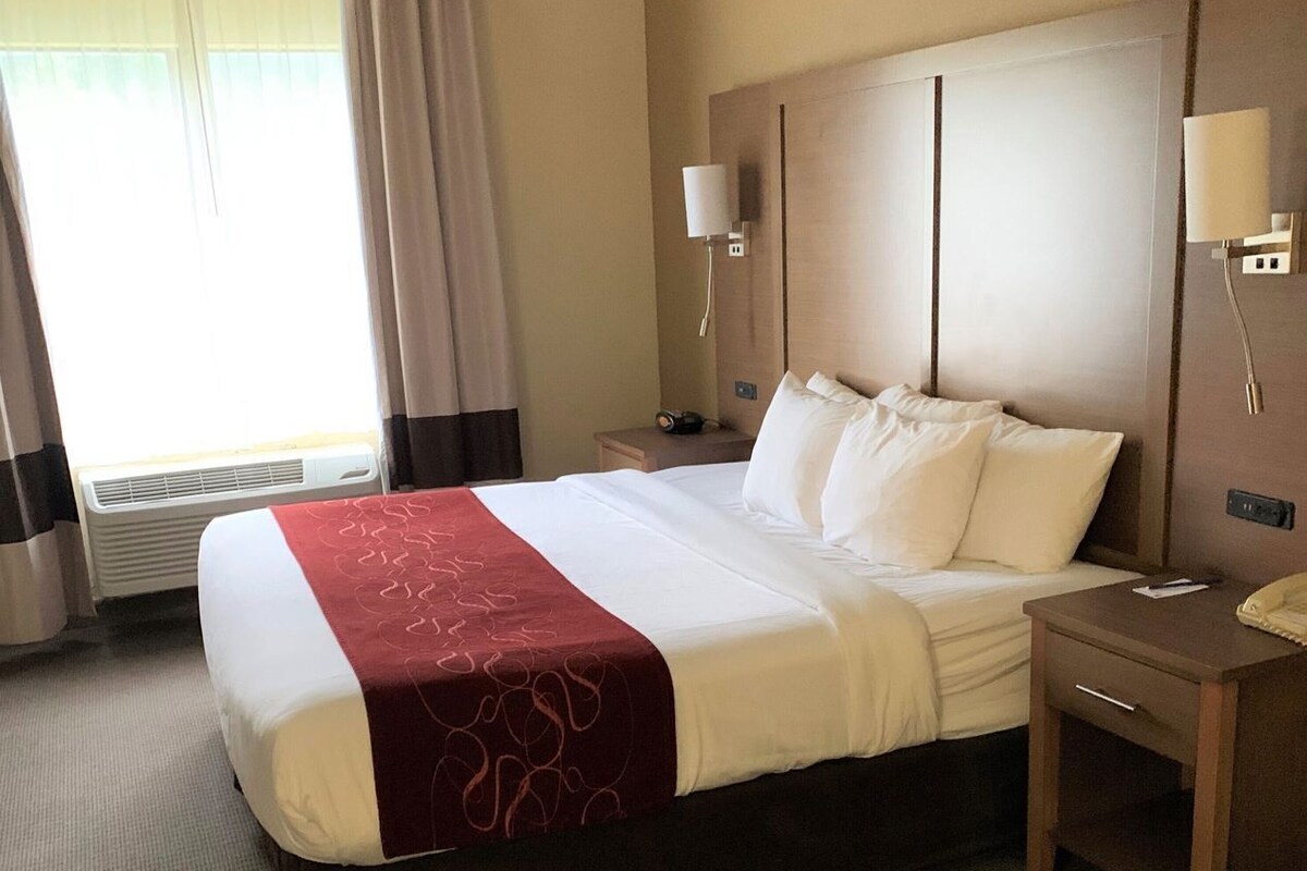 A hotel room with a large bed, a bedside table, a lamp, and a window with curtains.