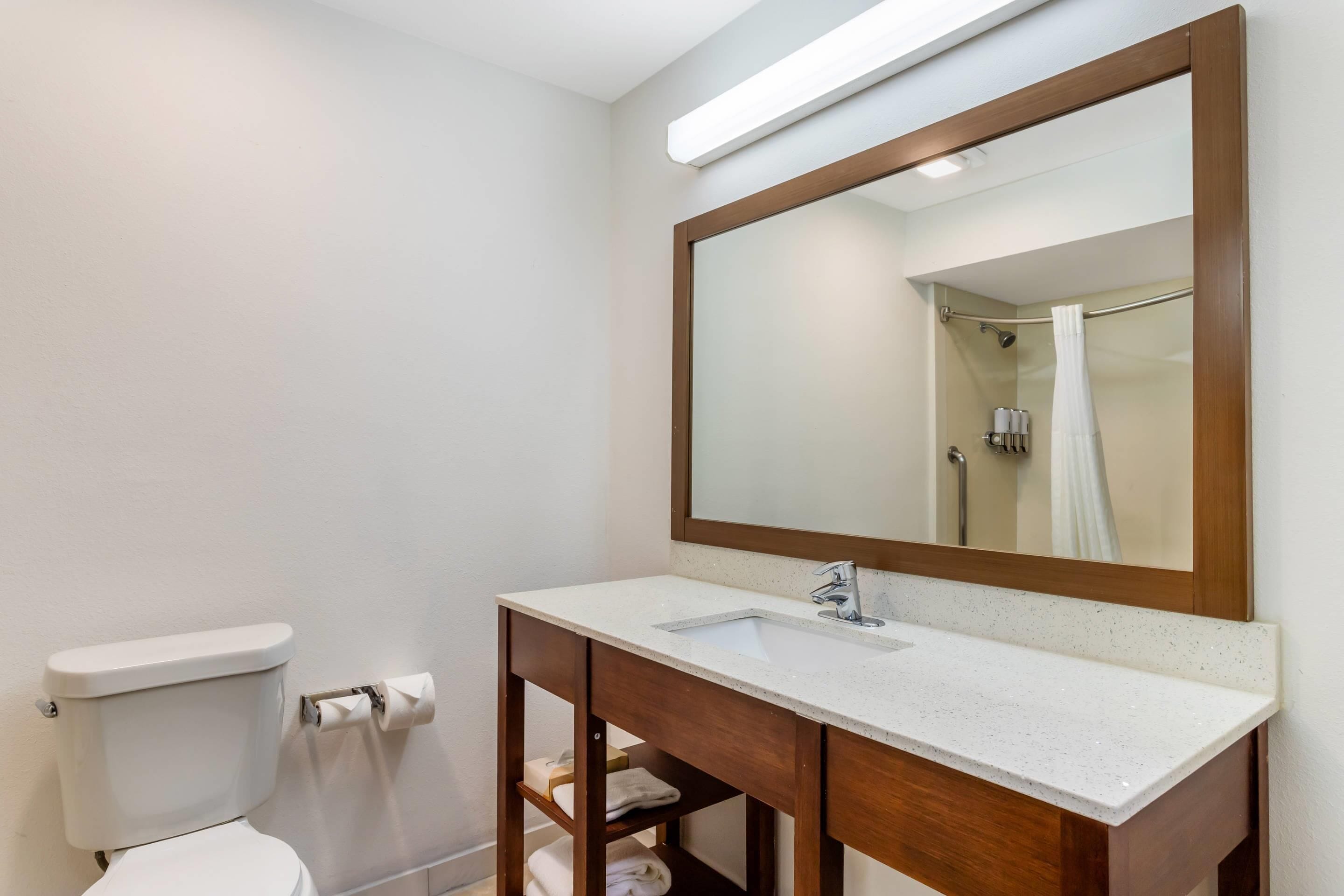 Foto - Comfort Suites Bush Intercontinental Airport